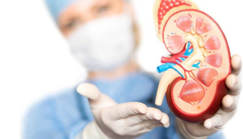Best urologist in bangalore