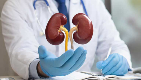 Nephrology Hospital in hyderabad