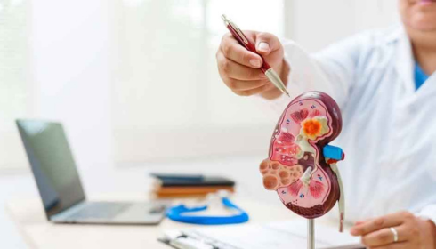 Nephrologist In Bangalore